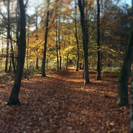 Heitse En Vakantiewoning