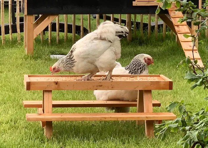 Heitse En Vakantiewoning Дом отдыха *