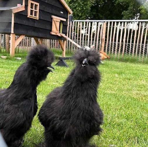 Heitse En Vakantiewoning Дом отдыха *