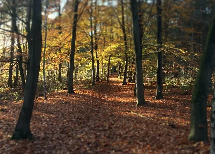 Heitse En Vakantiewoning