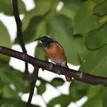 度假居 Heitse En Vakantiewoning