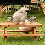 Heitse En Vakantiewoning 度假居 *