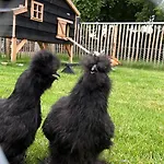 Heitse En Vakantiewoning 度假居 *